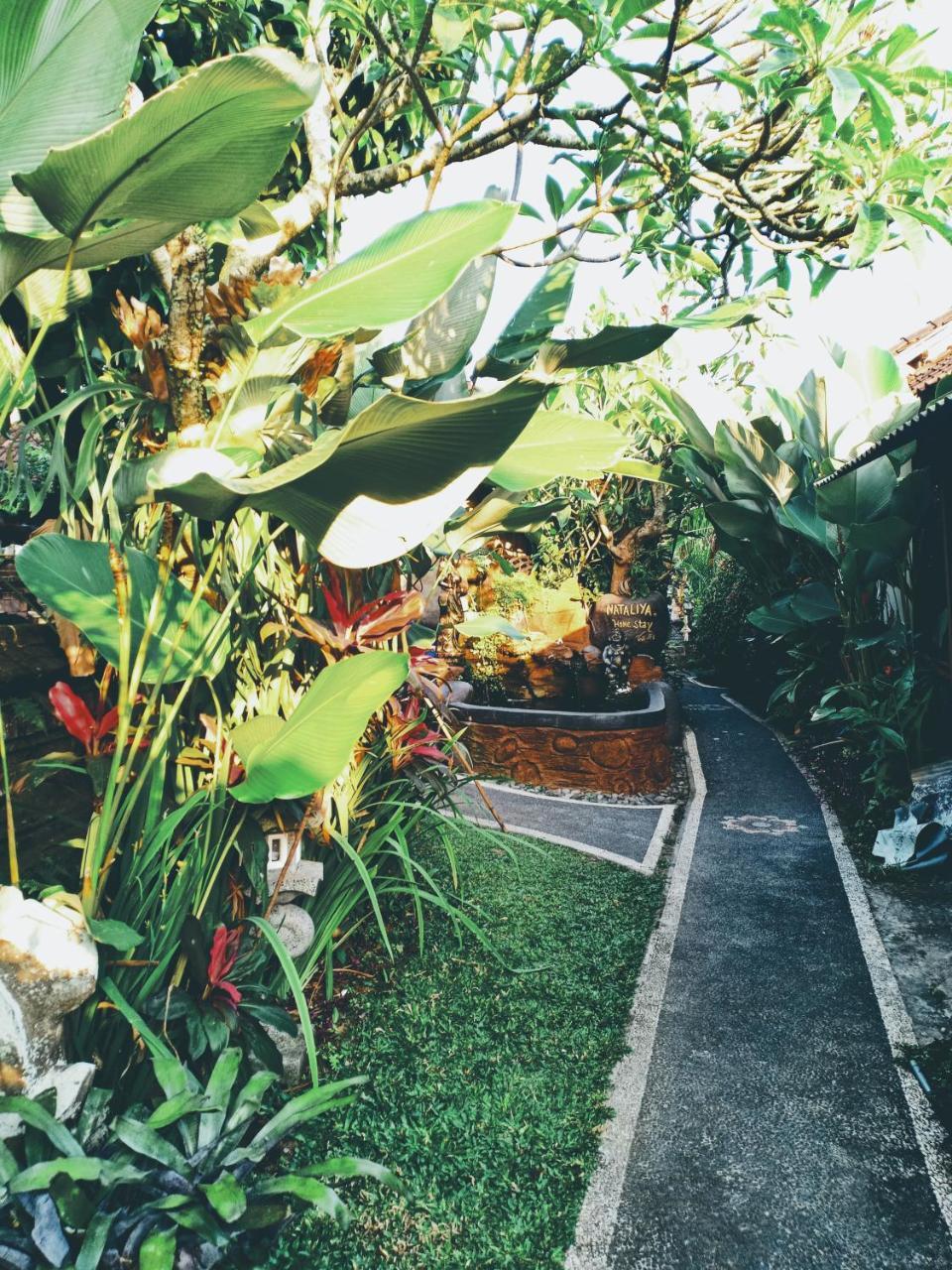 Nataliya Homestay Ubud Dış mekan fotoğraf
